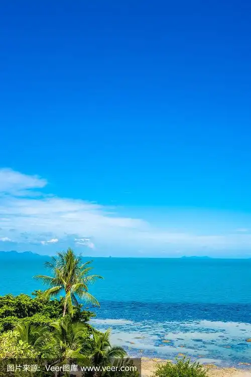 美丽的热带海洋,椰子树,蓝天白云