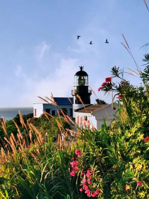 海上仙岛—花鸟岛