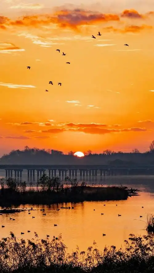 日照绝美壁纸来喽也就亿点点好看