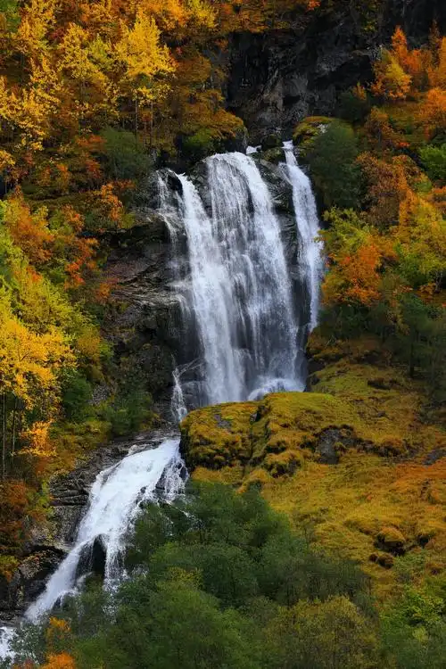 1000_1500竖版 竖屏