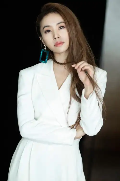 蔡依林优雅干练写真图片610