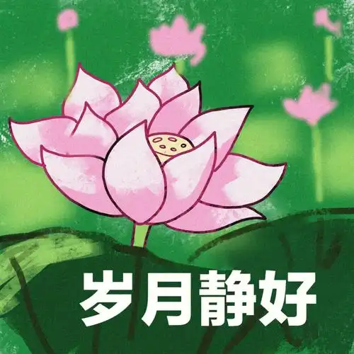 荷花头像无字版更新