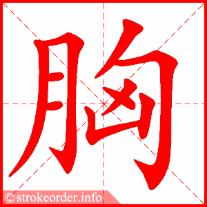 胸字的笔顺动画