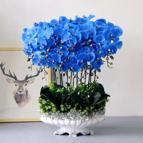 ueraydy家居旗舰店的优惠券大全—手感蝴蝶兰花假花仿真花 客厅酒店