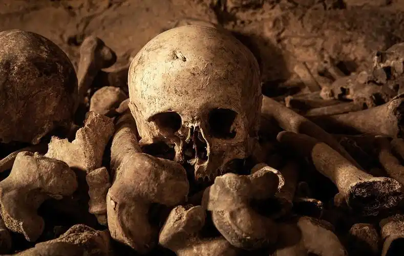 巴黎最恐怖卧室