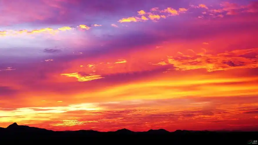 夕阳红之夕阳是迟到的爱