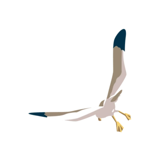 卡通飞翔的海鸥