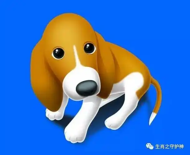 2019年开门大吉,喜气洋洋属狗的人,生来就具有很强的十二生肖和五行土