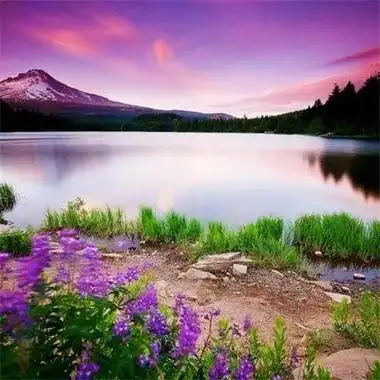 风景好运微信头像图片2023款 微信好看的头像风景