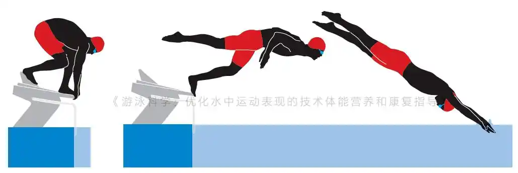 游泳比赛中的出发和转身,教大家如何"赢在起跑线上"_动作