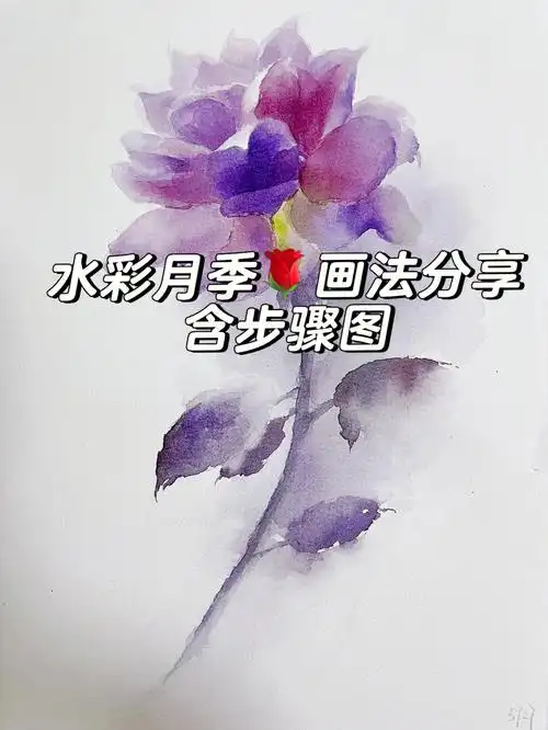 水彩画水彩月季步骤图分享学院薯talking