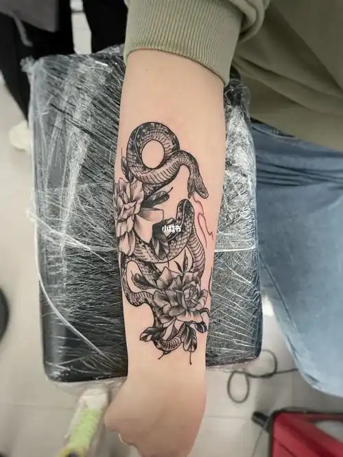 96今日工作 蛇盘花 覆盖 寓意花开富贵