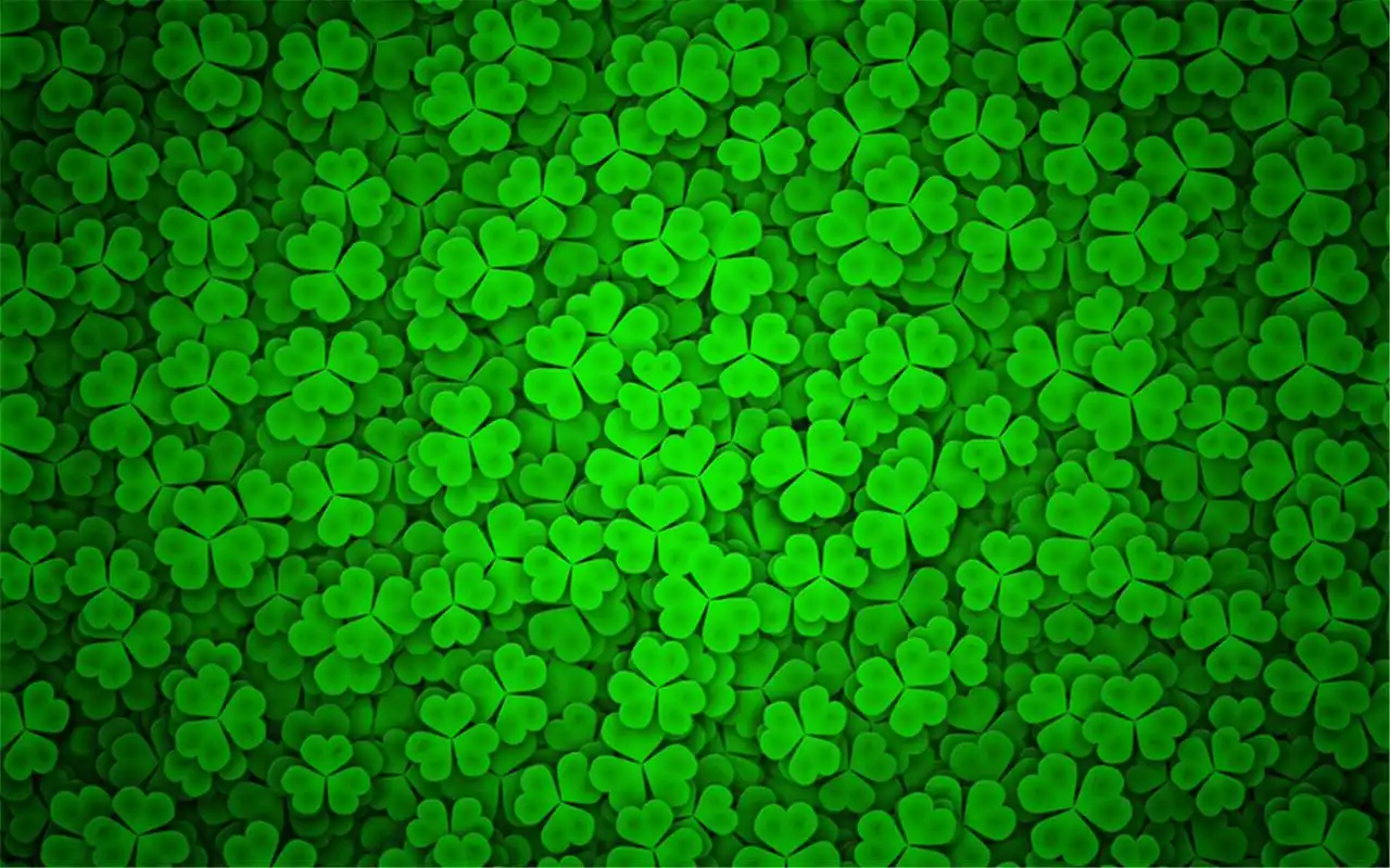 小清新素雅简洁四叶草唯美养眼背景图片桌面壁纸