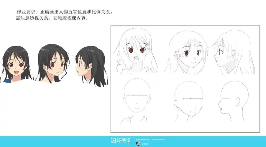 【225-晓风残月】头部的结构及五官比例