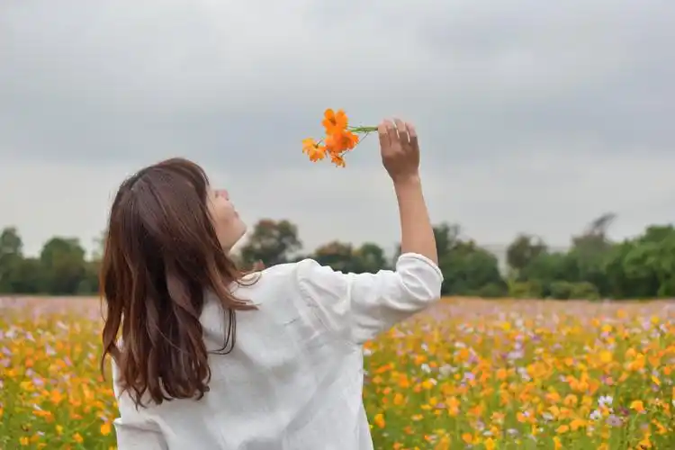 带你一起去花海