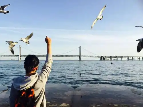 体验尽在明天……黄昏渐近,远处海鸥略过的那座跨海大桥上,即将开启