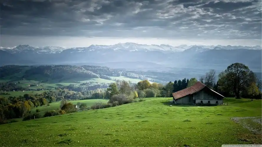 电脑桌面壁纸尺寸(1920x1080)适合任何电脑尺码,全是以绿色图片为背景