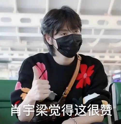 这个贴收集肖宇梁各种表情包