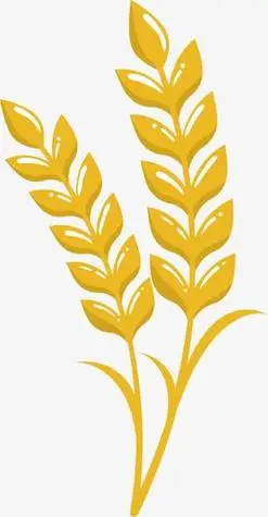 稻穗动感麦穗图片麦穗图片矢量麦穗图片[矢量图,ai]麦穗麦子图标手绘