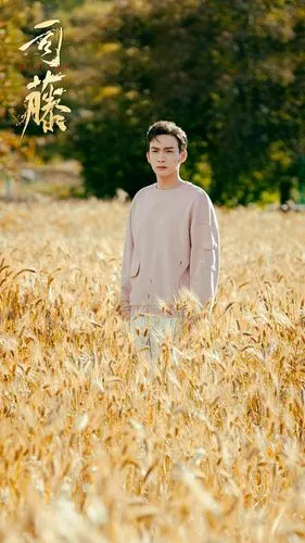 网剧《司藤》热播 丘山白英现身 剧情进入白热化阶段