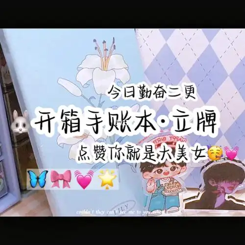 91今天是开箱呦99嘿嘿#我的手账分享  #笔记灵