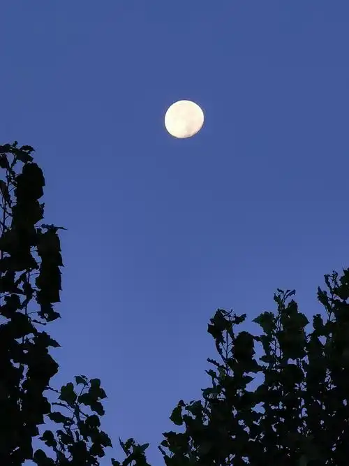 充满诗意的月亮