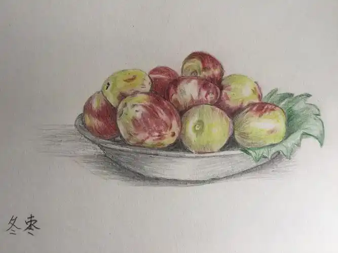 学画彩铅画70天的成果