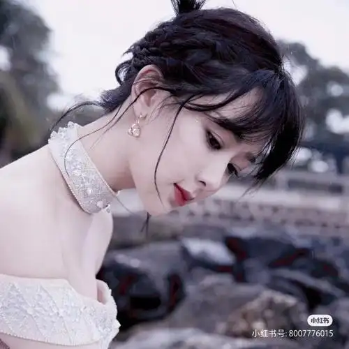 紫米们喊出杨紫的口号吧