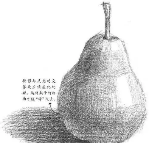 素描水果画法步骤图片简单 素描水果怎么画步骤_素描自学网