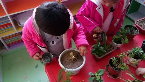 植树节到了,孩子们亲手为这些花草浇水,把小种子种下,期待他们快快