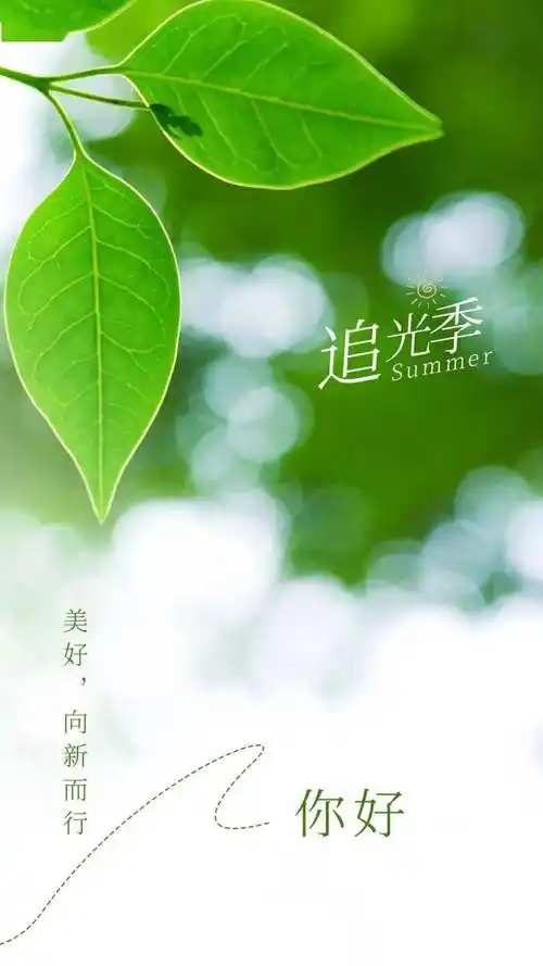 精彩励志心语|没有白费的努力,也没有碰巧的成功_文案_人生道路_太阳