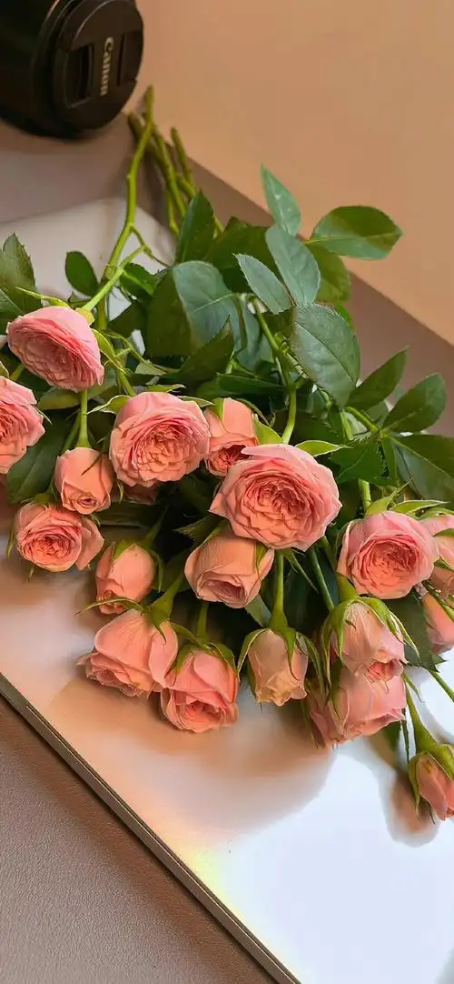 鲜花壁纸 9301 / 浪漫要夹杂在生活里03