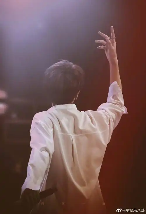 林彦俊背影杀背影像碎石投入深潭,引的粼粼波光,跌宕水痕.