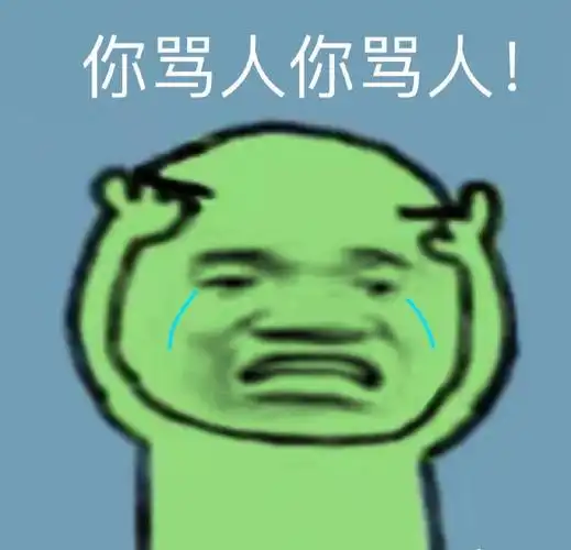 你骂人你骂人搞笑表情包斗图表情