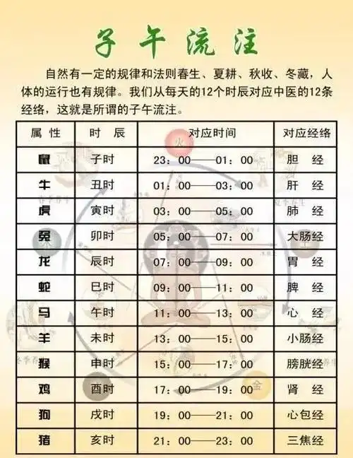 十二时辰对应脏腑图