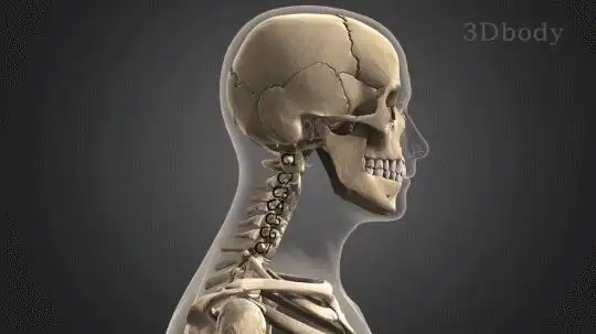 脖子前倾怎么矫正