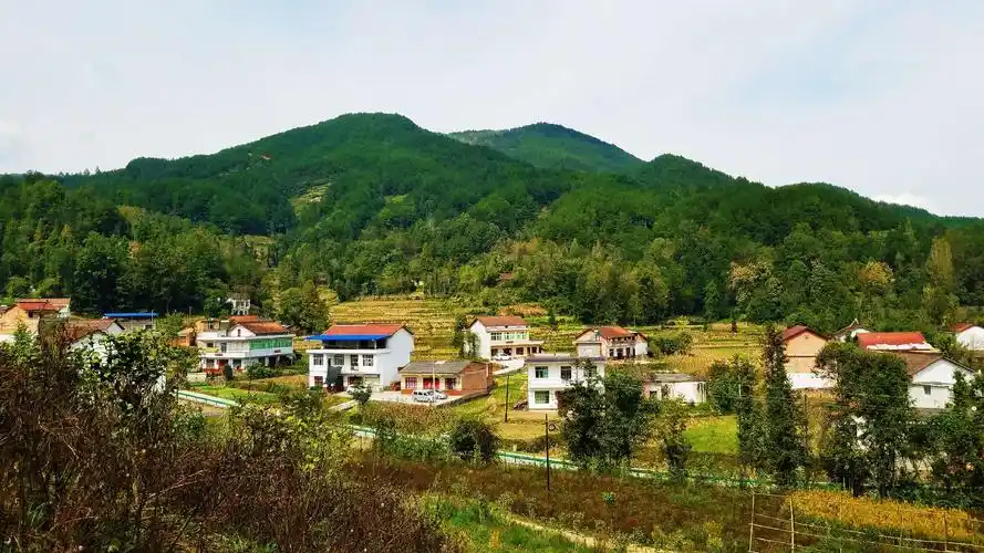 农村,原来可以这样的!探访马家庵村!