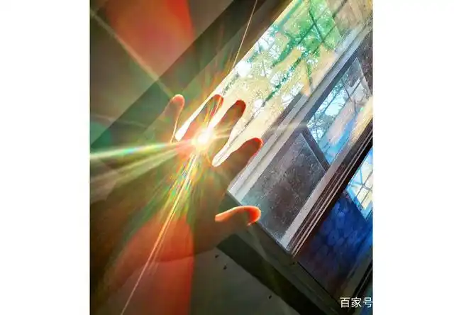 不约而同地让开一道缝隙, 让阳光照进寒舍与我约会…… 一缕阳光