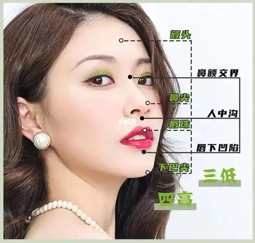 三庭五眼or三低四高