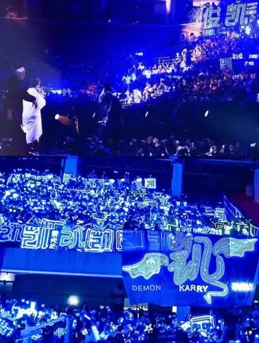 从开始到未来只为王俊凯的应援牌