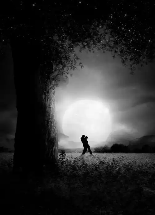 孤独是一个人的狂欢