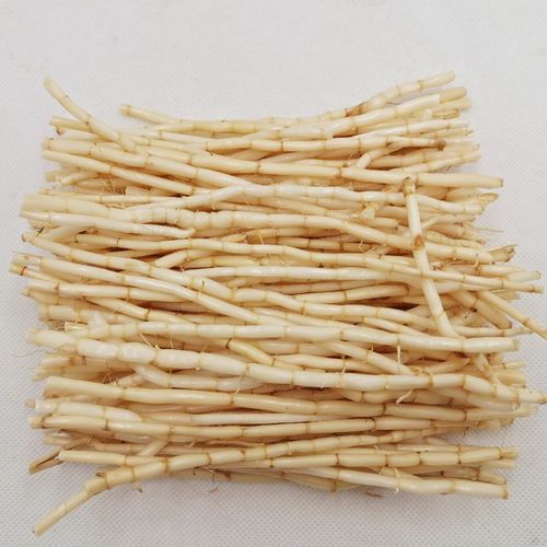 白茅根新鲜野生茅根甘蔗马蹄荸荠饽竹蔗荠广东其他药食同源食品