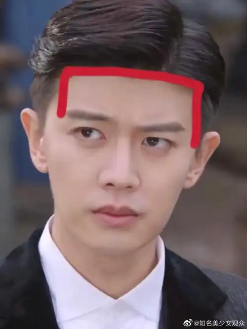 任嘉伦方框发际线##任嘉伦是发量王者