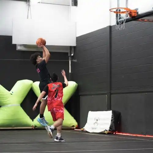 多伦多室内篮球场