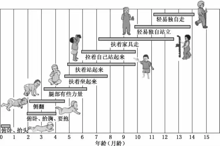 不同年龄段儿童特点