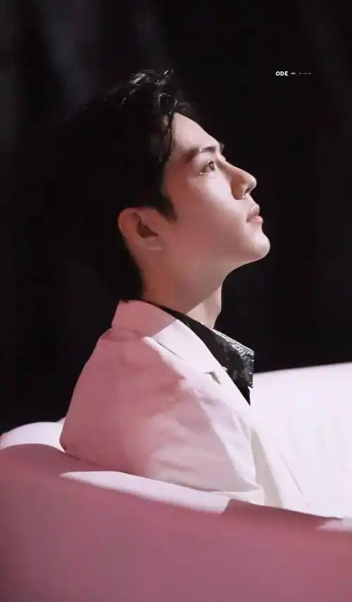 肖战的喉结合集:上下滚动的喉结会说话,简直荷尔蒙爆棚_高挺_鼻梁