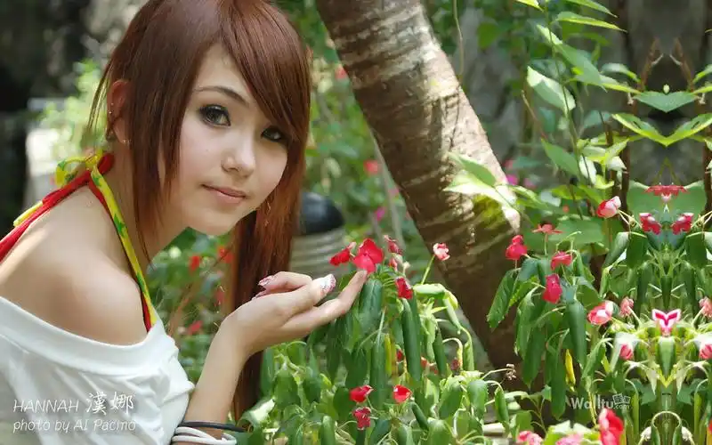 豆豆系统 美化 桌面壁纸 > 周杰伦老婆昆凌高清宽屏壁纸最热壁纸赏析