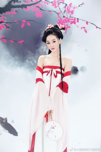 盘子古装女 性感古风女装写真汉服公主仙女服装 惹红尘 齐胸襦