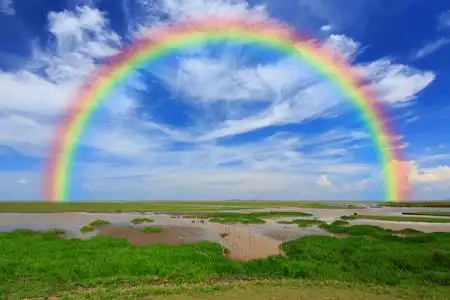 日出时的麦田日出时带麦田的彩虹乡村景观照片