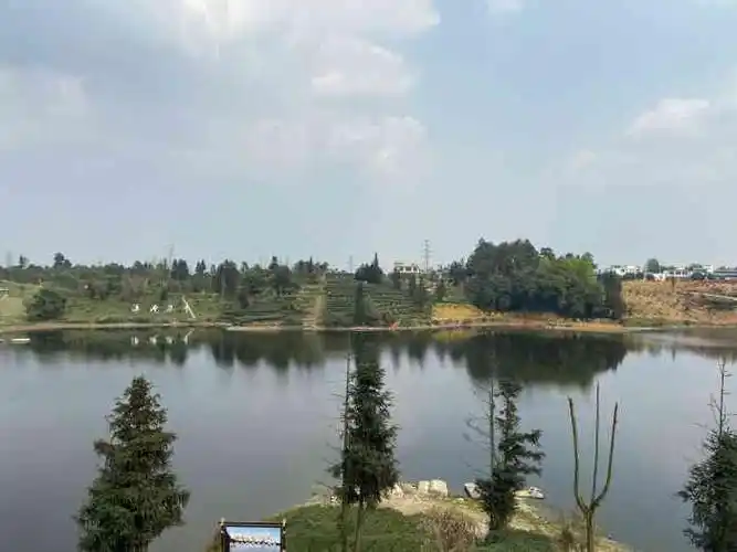 月亮湖农庄-"我们这次来,主要是在月亮湖度假山庄de茶.